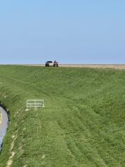 We didn't see many people, but these farmers seemed to be collecting rubbish from the marshes on the seaward side of the flood bank